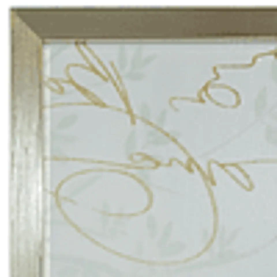 Cuadro de Tela 40x60cm Pluma Verde  2