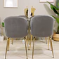 Juego de Comedor Rectangular Vidrio 120x80cm + 4 Sillas Berta  - Miniatura 5