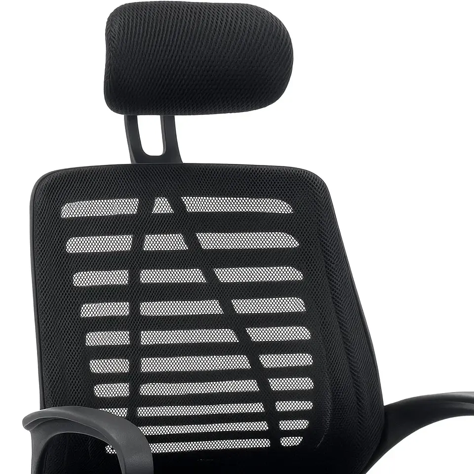 Silla de Oficina Ejecutiva Ergos 3