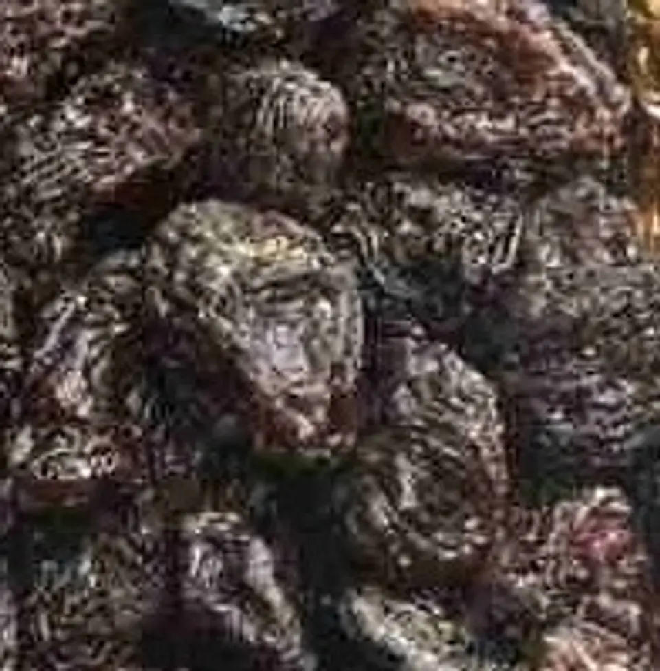  Pasa uva Kilogramo 1