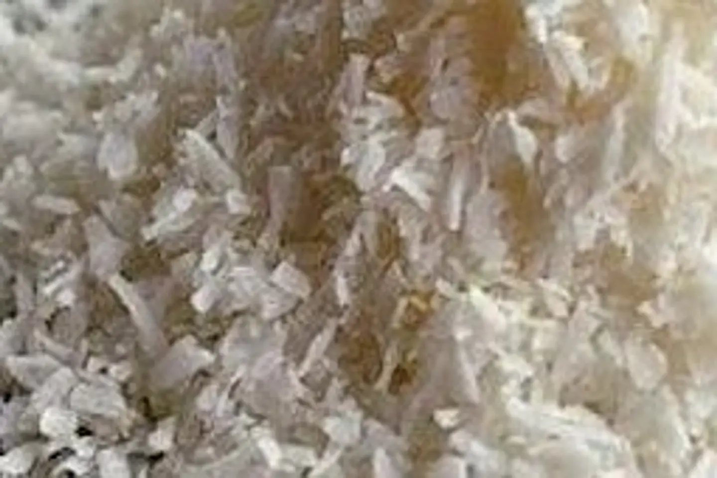 Coco rallado con azucar Kilogramo 1