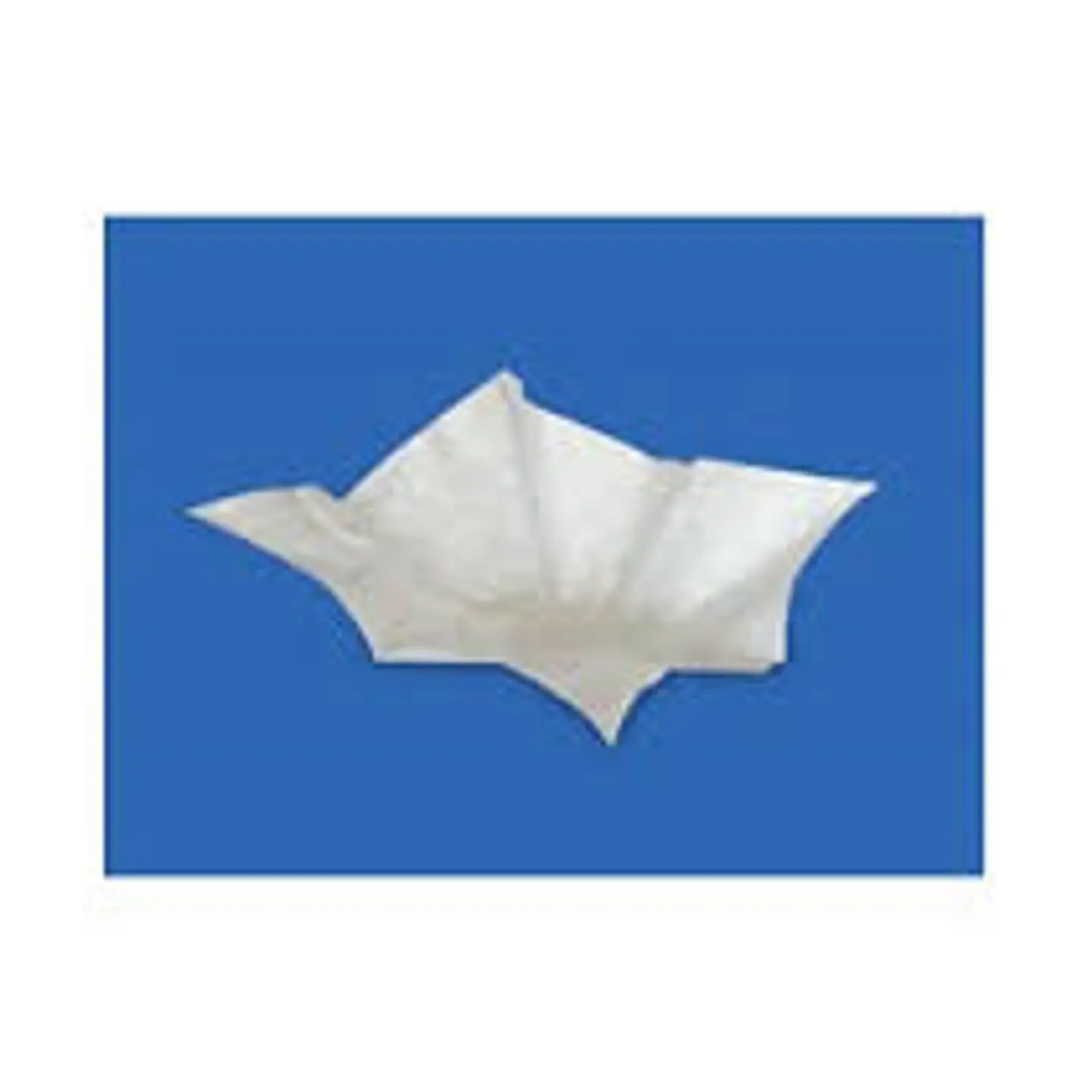  Capacillo blanco chino 5.5 cm di?metro X 6cm altura 1