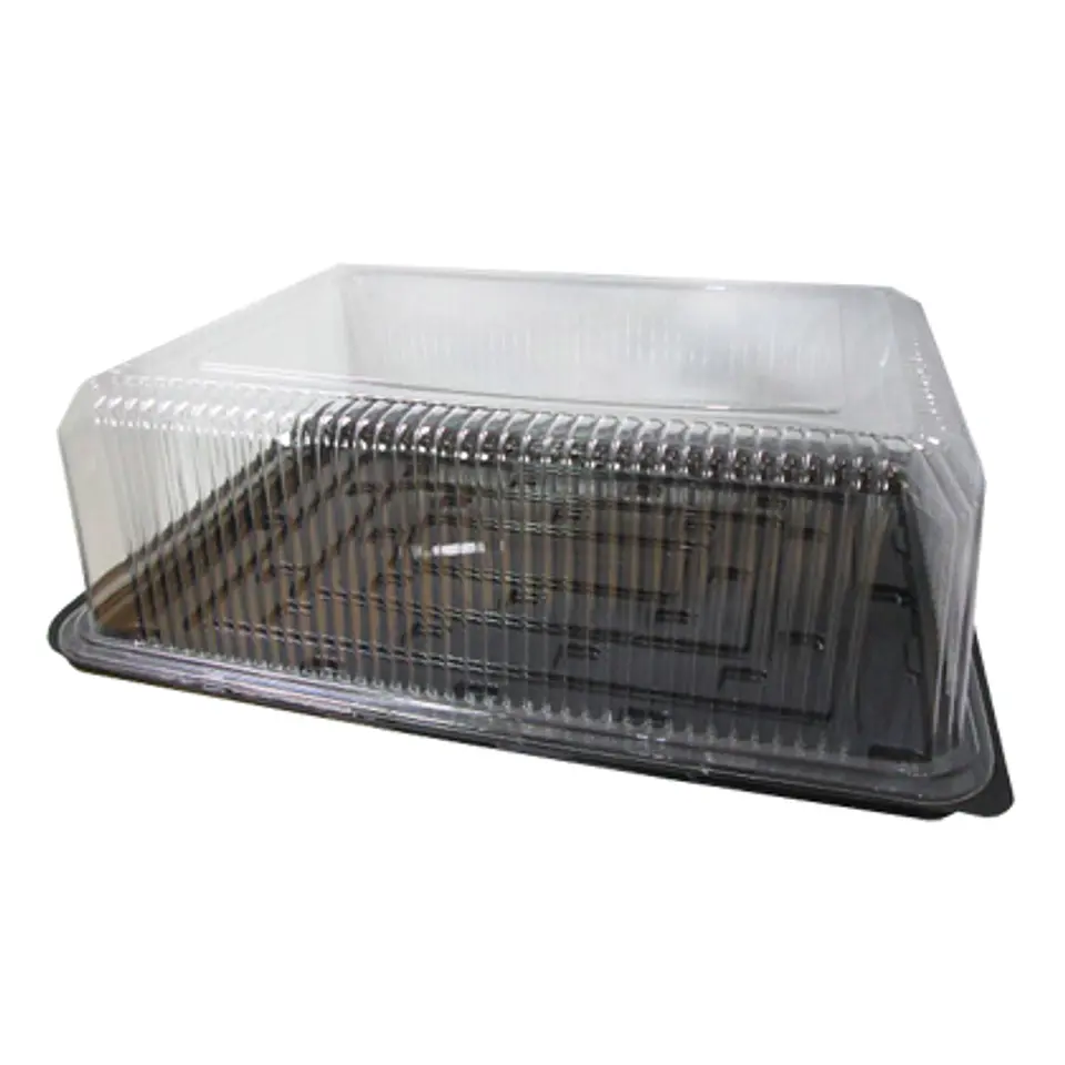  Base plana y domo 35x25x10cm 1/4 plancha  P3525-10N 1