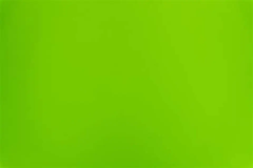  Color vegetal Dulcycolor verde limon 65 ml 2