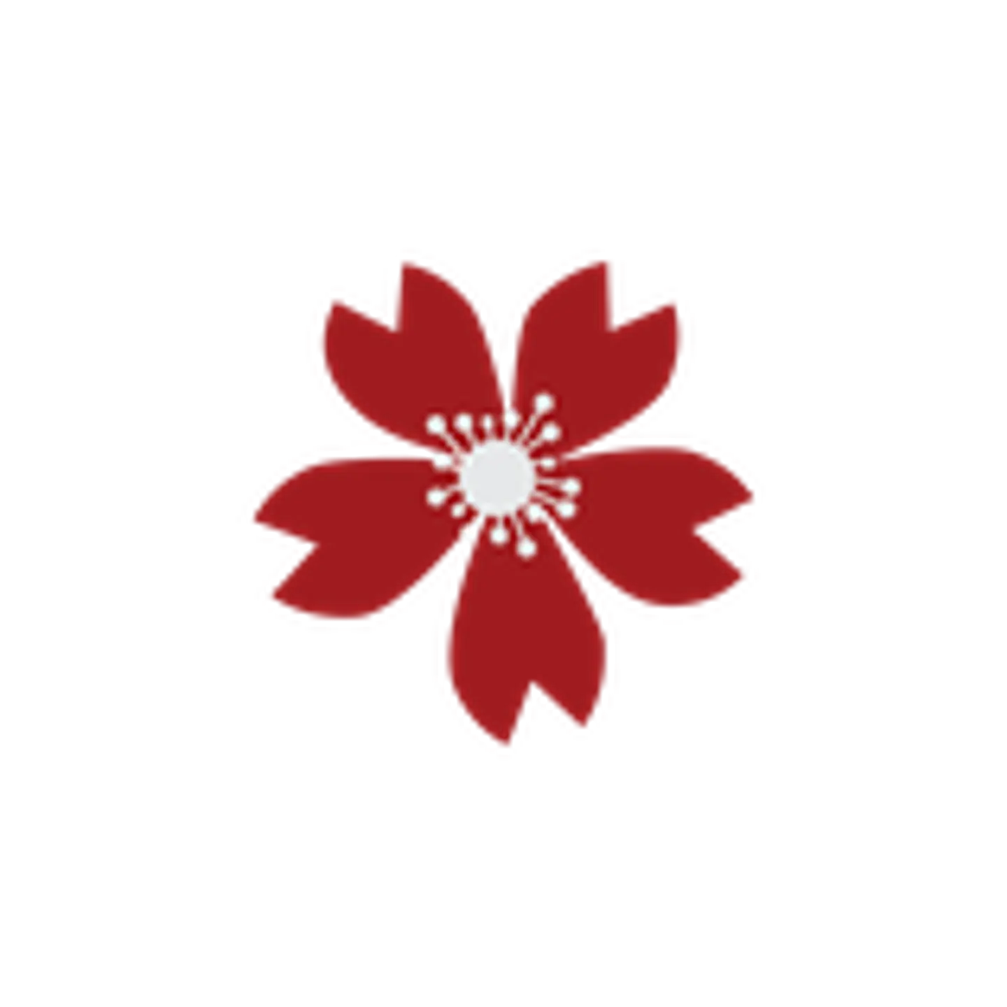  Matizador rojo nochebuena 1