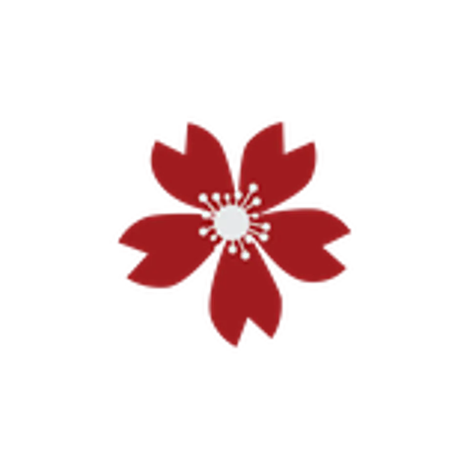  Matizador rojo nochebuena 1