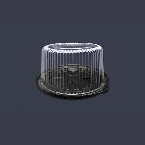 Domo 21cmx11cm C85-45BFL-PET