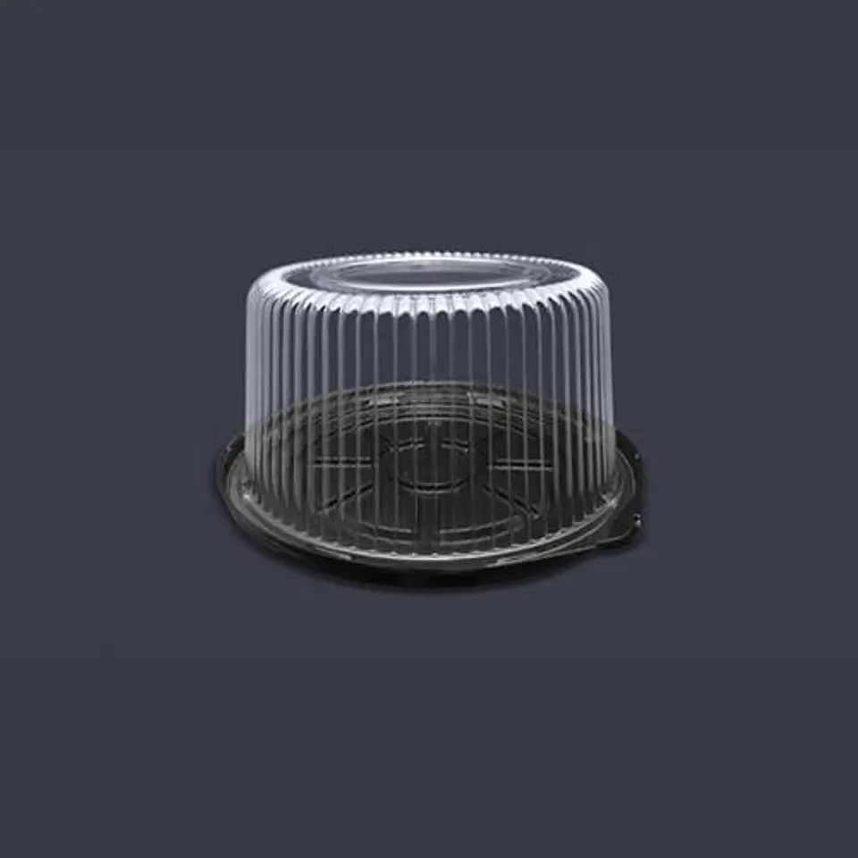  Domo 21cmx11cm C85-45BFL-PET 1