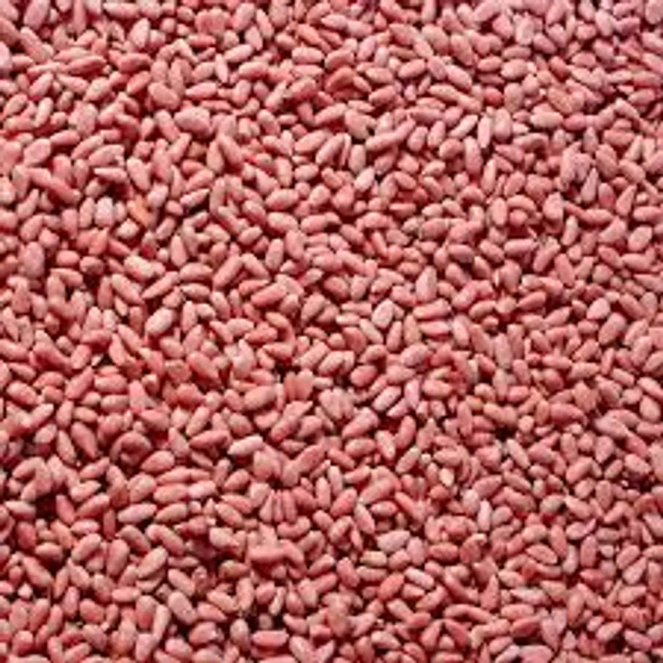  Pinon rosa Kilogramo 1