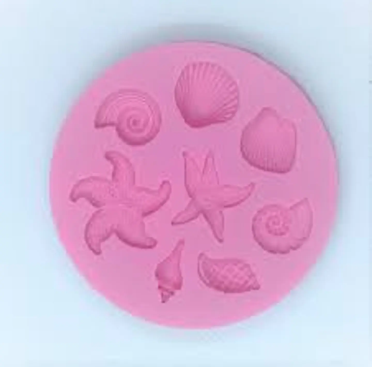  Estrellas de mar con conchas  MSC927 1