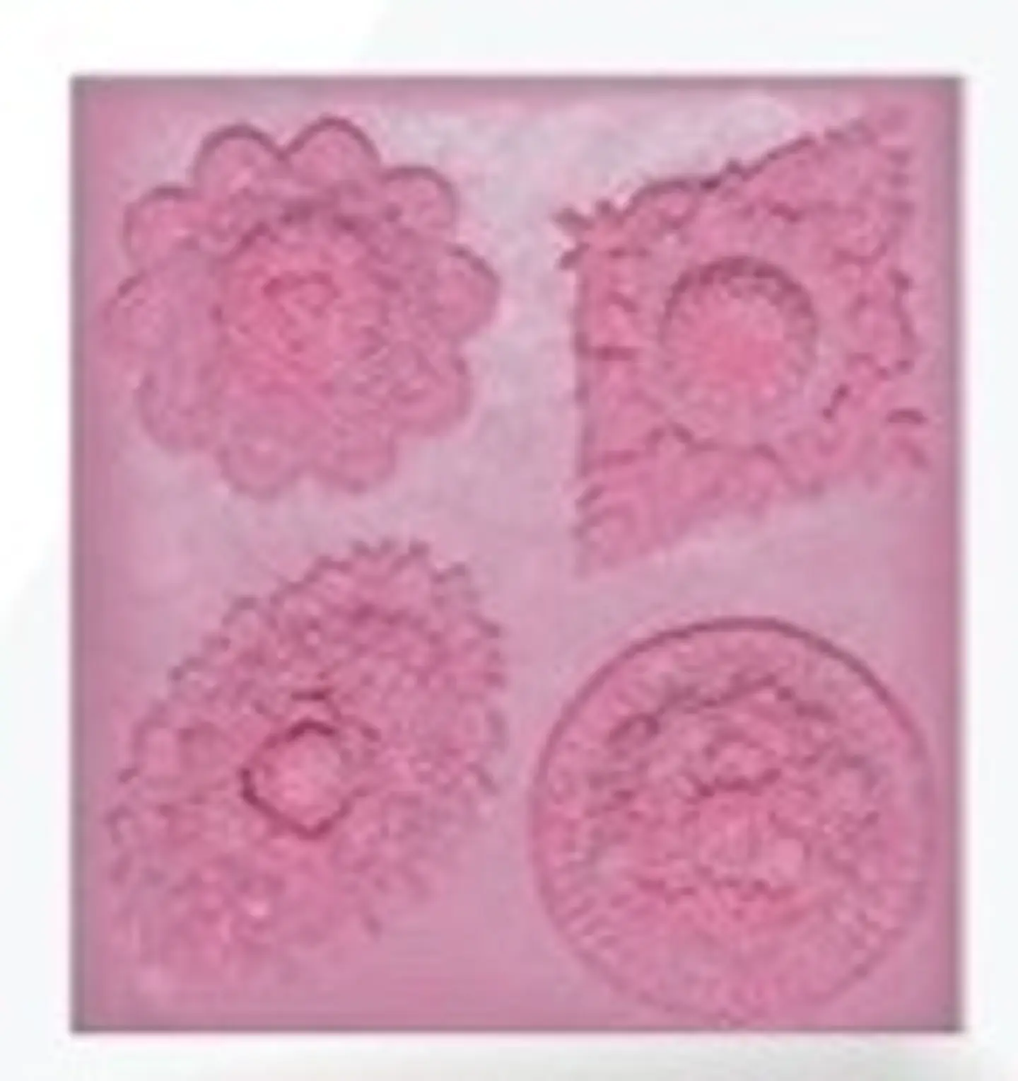  Molde silicon Medallon rosas x9 MSC065 1