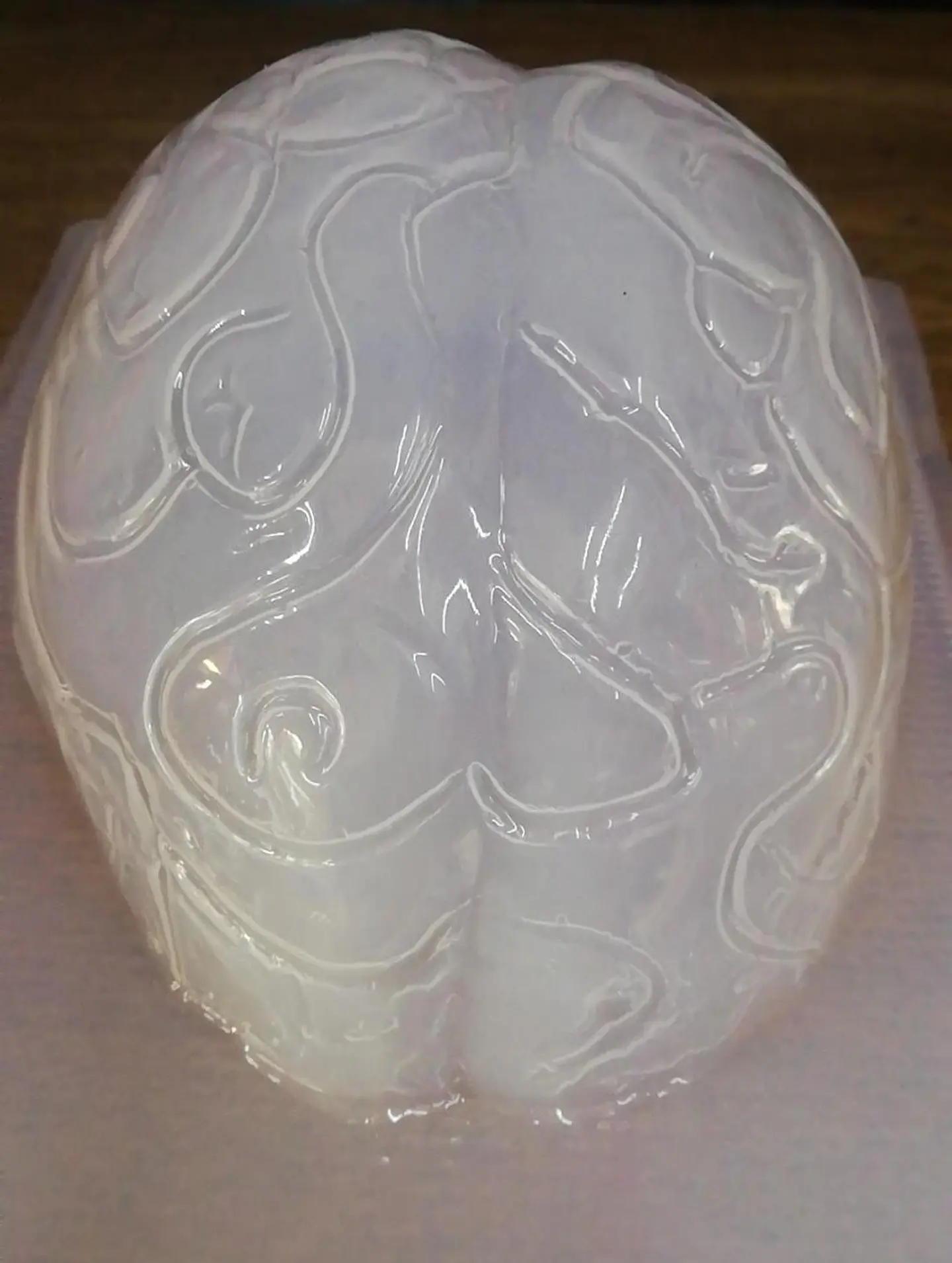  Molde para gelatina chico cerebro 1
