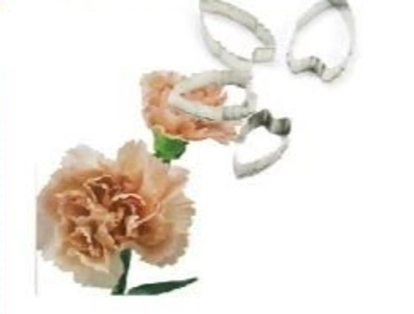  Cortador clavel metal 4 Pieza A326 1