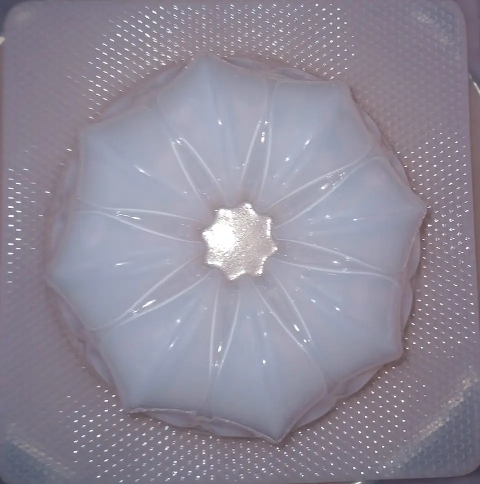  Molde para gelatina mediano rosca ME002 1