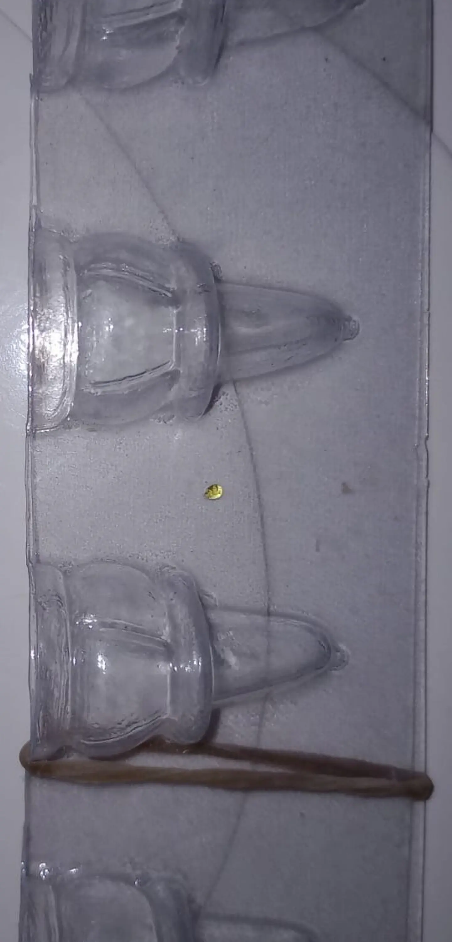  molde de calabaza acetato no. 00 1