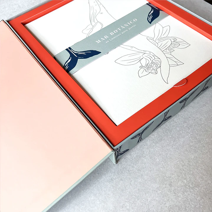 CAJA CREATIVA TITA BIANCHI MAR BOTANICO 3