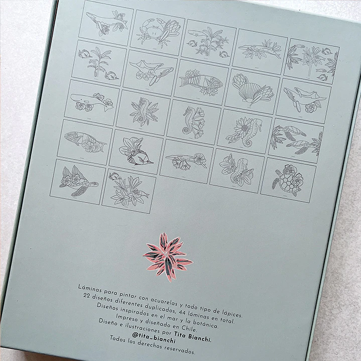 CAJA CREATIVA TITA BIANCHI MAR BOTANICO 5
