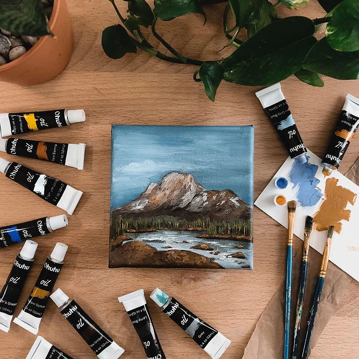 PINTURA AL ÓLEO SET 24 TUBOS OHUHU 9