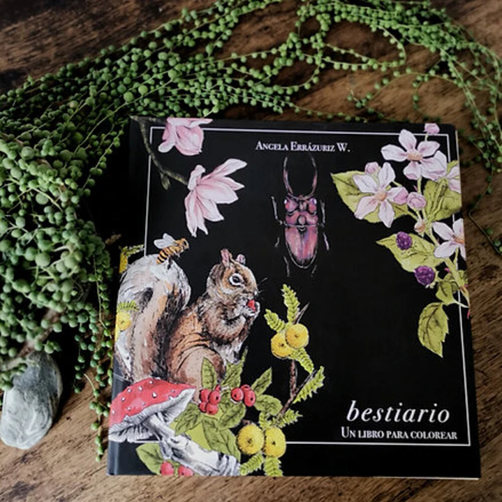 LIBRO BESTIARIO POR ANGELA ERRAZURIZ 5
