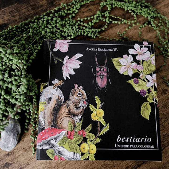 LIBRO BESTIARIO POR ANGELA ERRAZURIZ 5