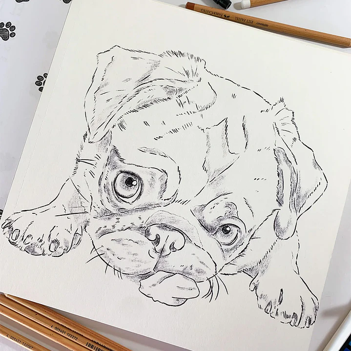 LIBRO PERROS POR CATALINA FUENZALIDA 2