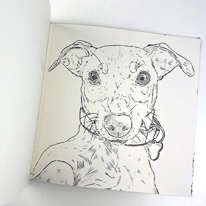 LIBRO PERROS POR CATALINA FUENZALIDA 5