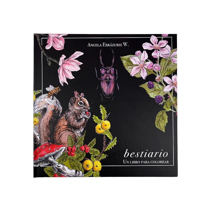 LIBRO BESTIARIO POR ANGELA ERRAZURIZ 1