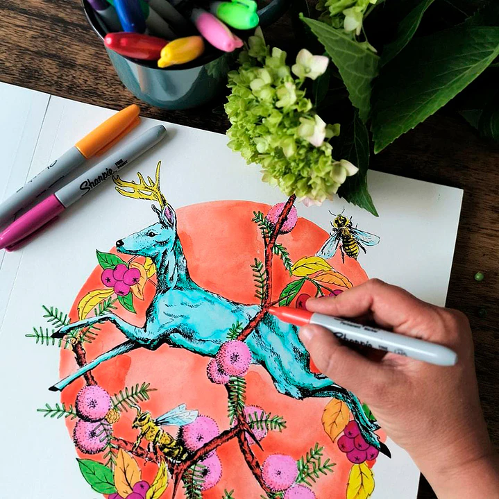 LIBRO BESTIARIO POR ANGELA ERRAZURIZ 4