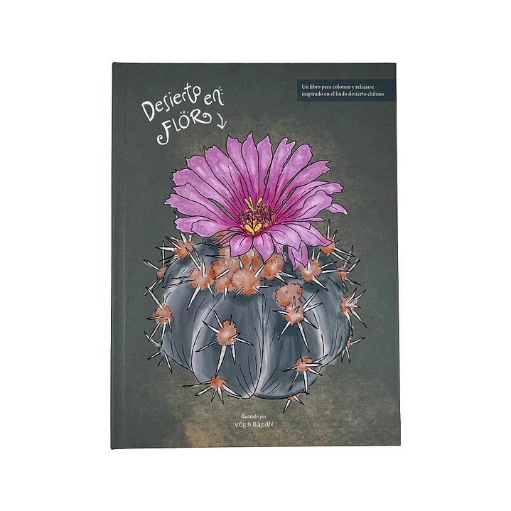 LIBRO DESIERTO EN FLOR POR VERONICA BAZAN 1
