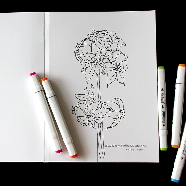 LIBRO DESIERTO EN FLOR POR VERONICA BAZAN 2