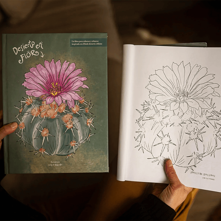 LIBRO DESIERTO EN FLOR POR VERONICA BAZAN 3