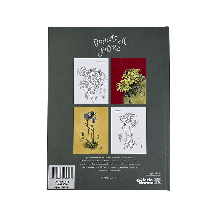 LIBRO DESIERTO EN FLOR POR VERONICA BAZAN 7