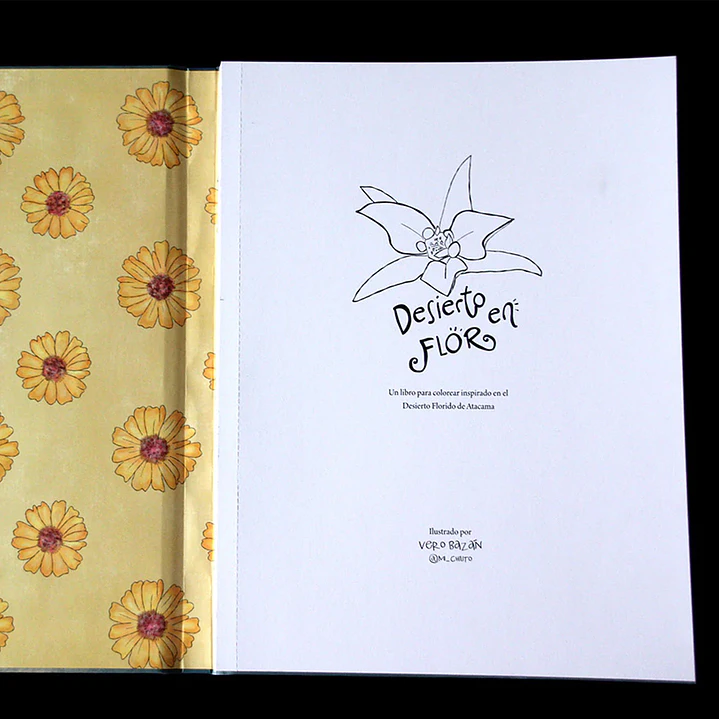 LIBRO DESIERTO EN FLOR POR VERONICA BAZAN 8