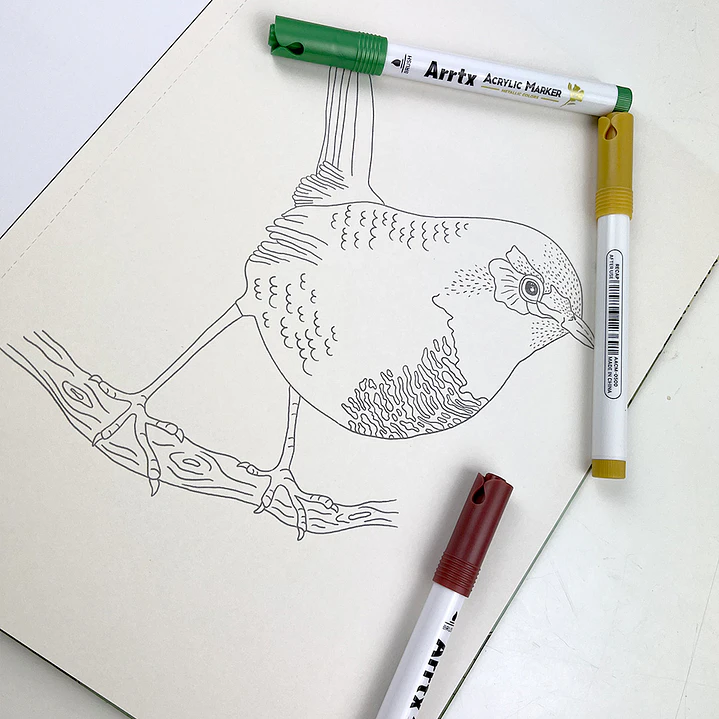 LIBRO FAUNA Y FLORA POR VICKY AGUIRRE 4