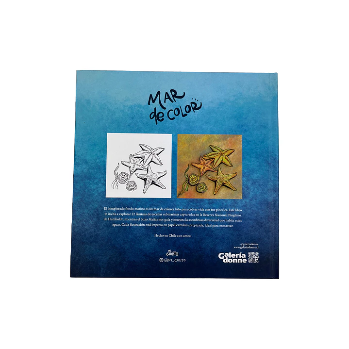 LIBRO MAR DE COLOR POR VERÓNICA BAZÁN 2