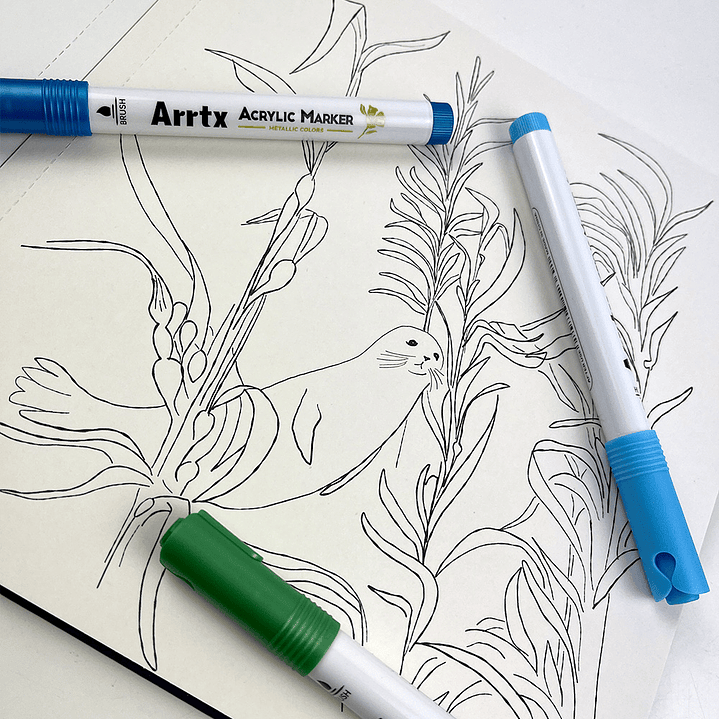 LIBRO MAR DE COLOR POR VERÓNICA BAZÁN 3