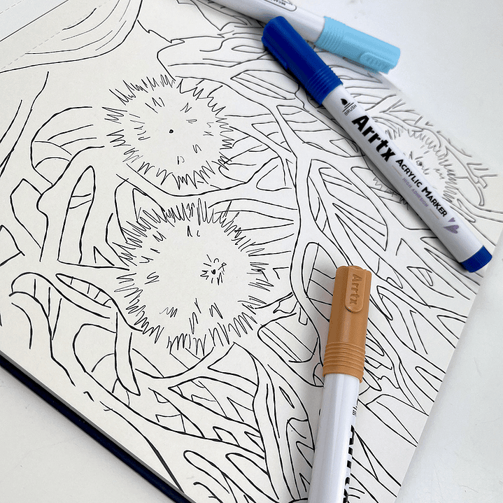 LIBRO MAR DE COLOR POR VERÓNICA BAZÁN 5