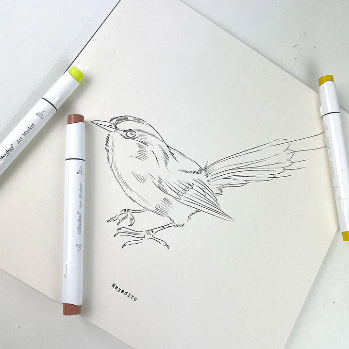 LIBRO AVES DE CHILE POR MARIA JOSE PEDRAZA 3