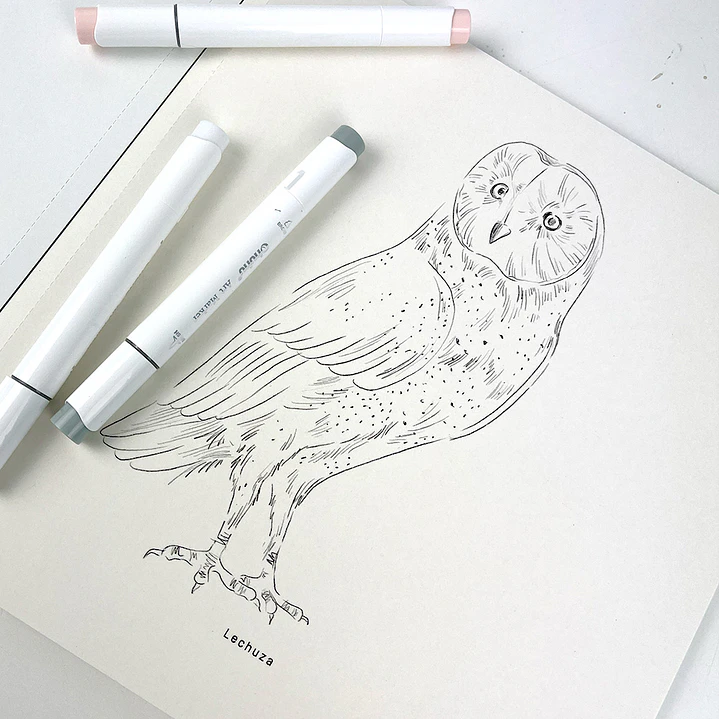 LIBRO AVES DE CHILE POR MARIA JOSE PEDRAZA 4