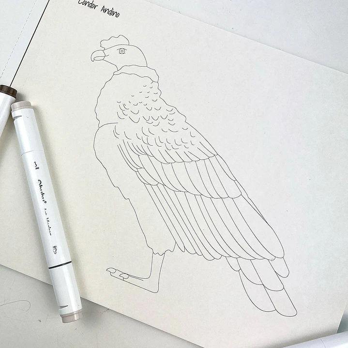 LIBRO PINTA A TU PINTA POR JOJO RODRIGUEZ 3