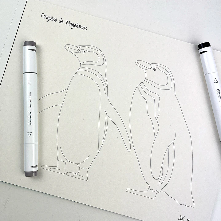 LIBRO PINTA A TU PINTA POR JOJO RODRIGUEZ 5