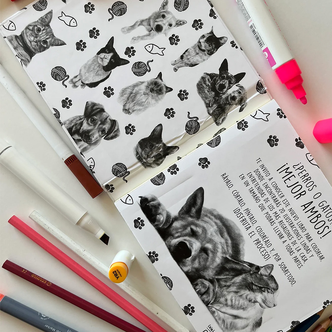 LIBRO PERROS Y GATOS POR CATA FUENZALIDA 2