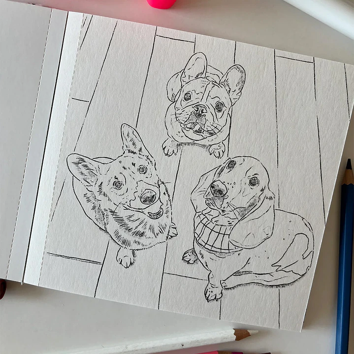 LIBRO PERROS Y GATOS POR CATA FUENZALIDA 4