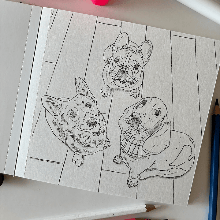 LIBRO PERROS Y GATOS POR CATA FUENZALIDA 4