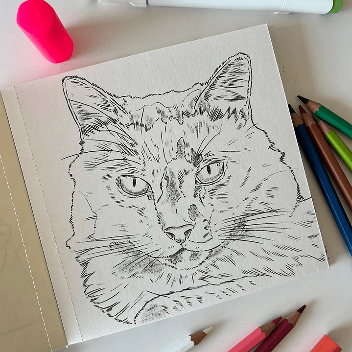 LIBRO PERROS Y GATOS POR CATA FUENZALIDA 5