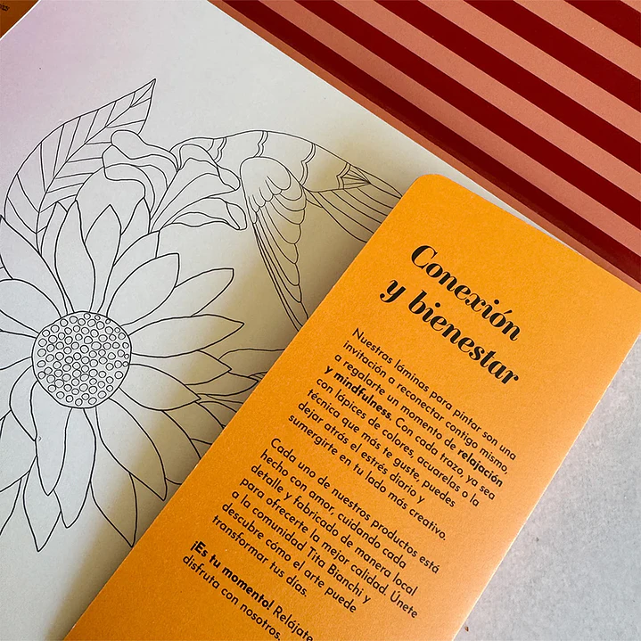 CARPETA TITA BIANCHI PRIMAVERA 2