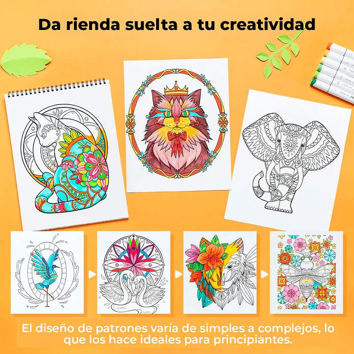 Colección 4 libros para colorear Ohuhu 3