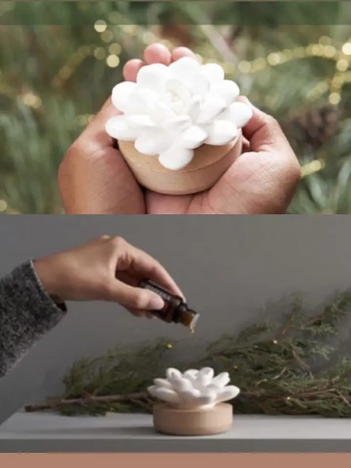 Difusor Flor del Desierto Pasivo   1