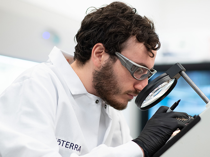 La Perspectiva de un Químico: Cannabinoides, Cannabis y Cariofileno