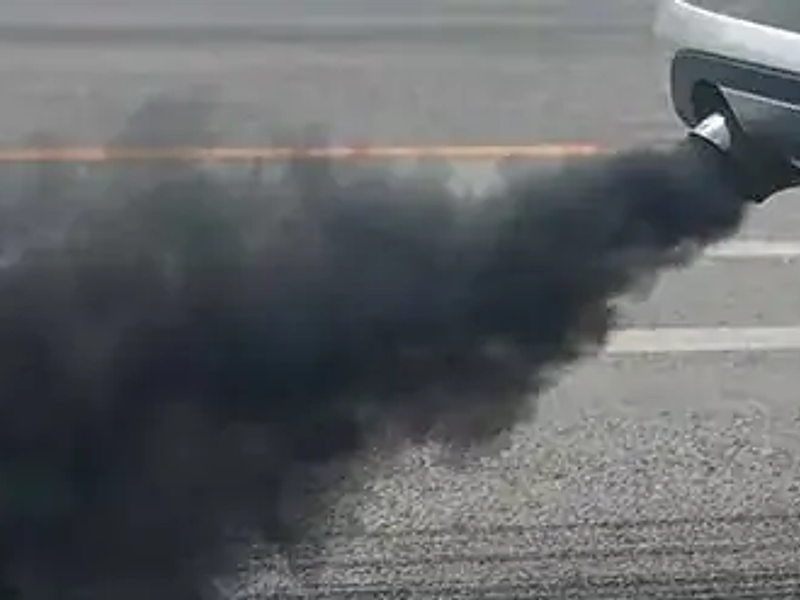 Desintoxica tu cuerpo y mente: La relación entre el plomo, la inteligencia y los aceites esenciales